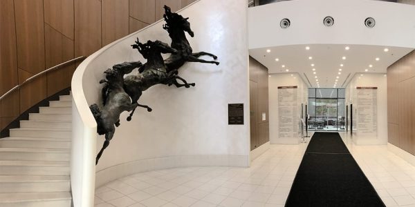 Cosmetic Medical Clinic - CMC